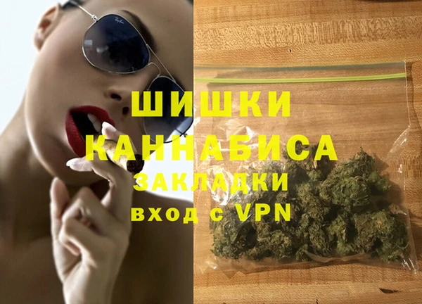 сатива Каменногорск